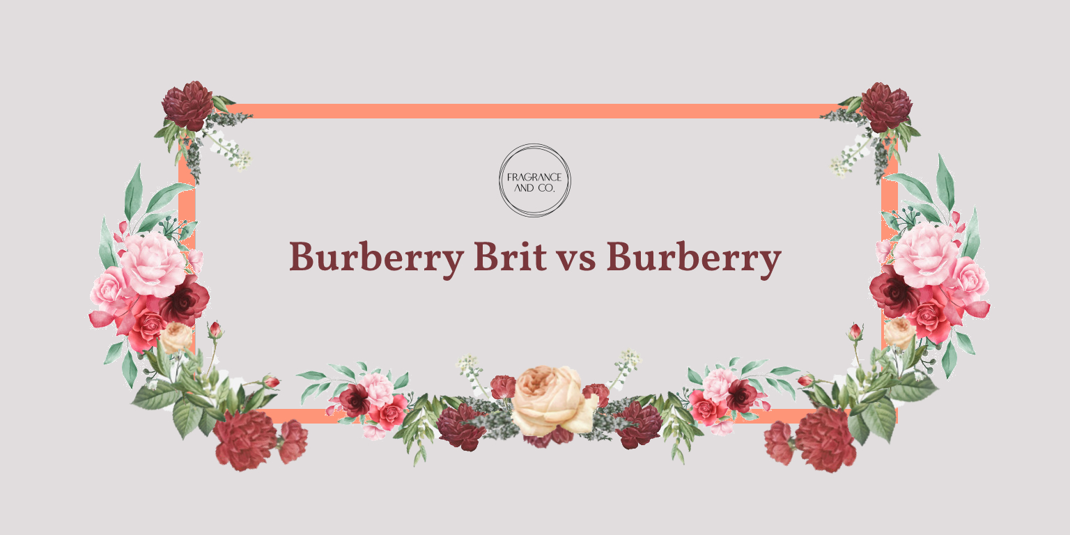 Burberry Brit vs Burberry