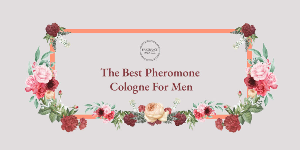 The Best Pheromone Cologne For Men