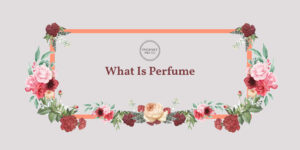 What Is Perfume